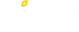 金果苑产品体系涵盖进口精品水果与国产特色水果两大类，覆盖200多个品种，满足不同渠道与消费者需求。